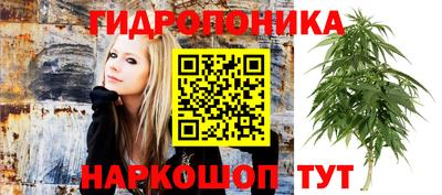 эйфоретик Малоярославец