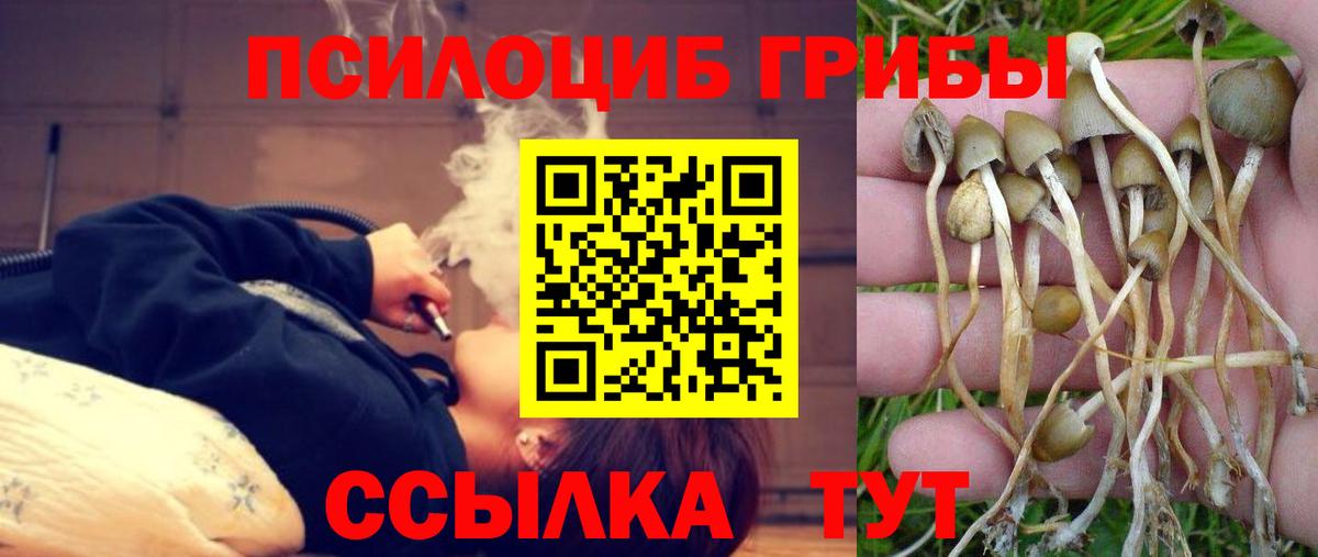 Гудермес  Псилоцибиновые грибы мухоморы  Вход с VPN 